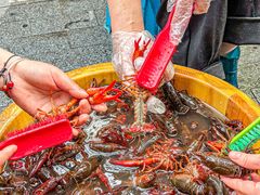 -可可大虾武汉土菜大排档(万松园1店)