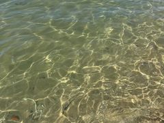 -广东惠东海龟国家级自然保护区