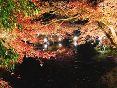 -醍醐寺