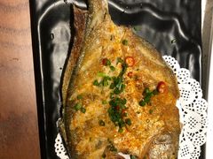 -九府羊·鲜羊火锅·烤串(新华路店)