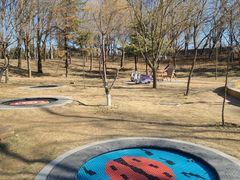 -安德鲁户外烧烤帐篷营地(马泉营店)