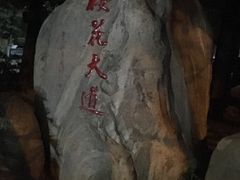 -武汉大学-樱园