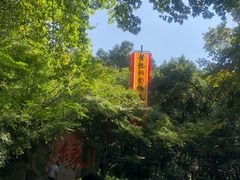 -杭州黄龙洞