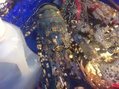 iphone_upload_pic-六合夜市