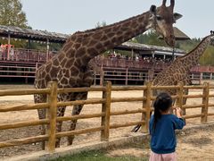 -鄂尔多斯野生动物园