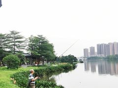 -飞来湖湿地公园