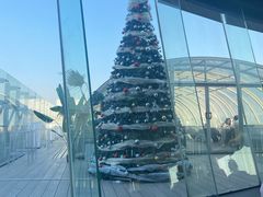 -Hi City·城市之巅