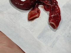 -瑞派雷欧宠物医院·24h夜诊·心脏骨科牙科·全科重症转诊中心(无影山店)