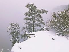 -科罗拉多大峡谷