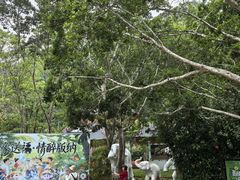 -野象谷景区