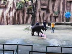 -是拉差龙虎园(Permanently closed)