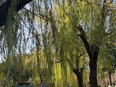-宁波九龙湖开元度假村