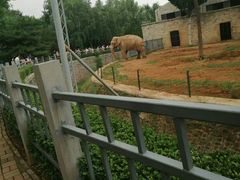 -石家庄市动物园