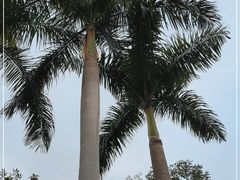 -广州市白云山风景名胜区