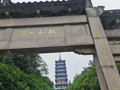 -宜兴龙背山森林公园