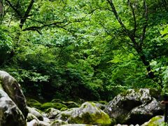 -秦岭风景区