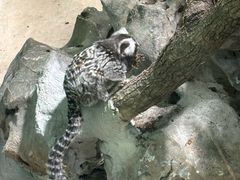 -上海大自然野生昆虫馆(东方明珠·爬宠昆虫探索中心)