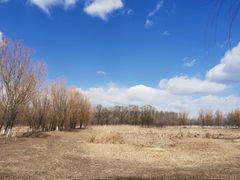 -东郊湿地公园
