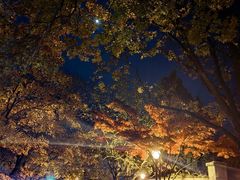 -八大关景区