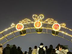 -武汉知音号