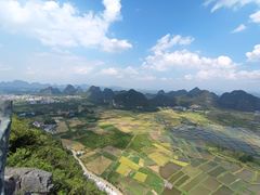 -会仙湿地