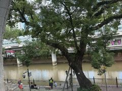 -广东胜利宾馆西关粤中餐厅