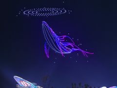 -第35届青岛国际啤酒节