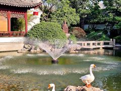 -祝家花園(伯渎港店)