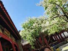 -宫事颐庭·老佛爷贵寿下午茶(颐和园店)