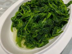 清炒豌豆尖-金蝉食府(维吉奥广场店)