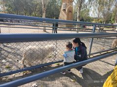 -长白岛森林公园