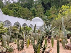 -深圳仙湖植物园