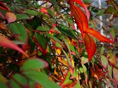 -中国农科院国家农业科技展示园