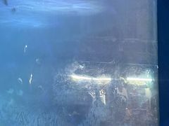 -常州海昌海洋探索馆
