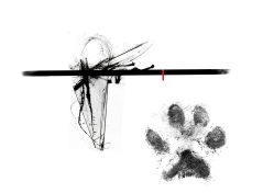 点击看大图 -AC TATTOO 纹身