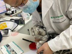 -瑞派天使宠物医院·神经外科·骨科·核磁(洛川中路店)