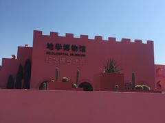 -漳州滨海火山岛自然生态风景区