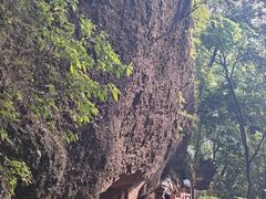 -青城山