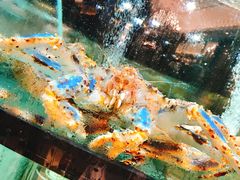-金翠皇宫粤菜·点心·海鲜(科技园店)