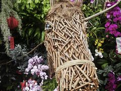 -北京植物园-展览温室