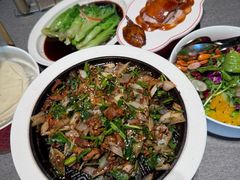 -秀儿四九城·新京菜(亚运村鸟巢店)