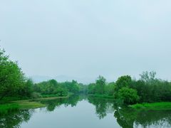 -西溪国家湿地公园