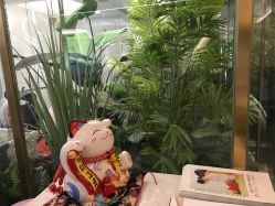 -爱瑞馨母婴护理中心(爱悠悠店)