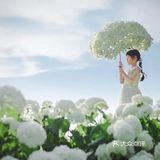 春日游玩🌸用相机记录美景