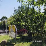武汉旅行攻略之中山公园