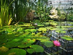 -国家植物园南园