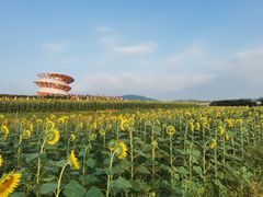 -光明小镇欢乐田园