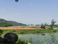 -径山花海