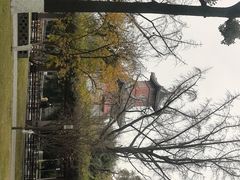 -四川大学(华西校区)