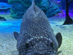 -沈阳海洋探索中心